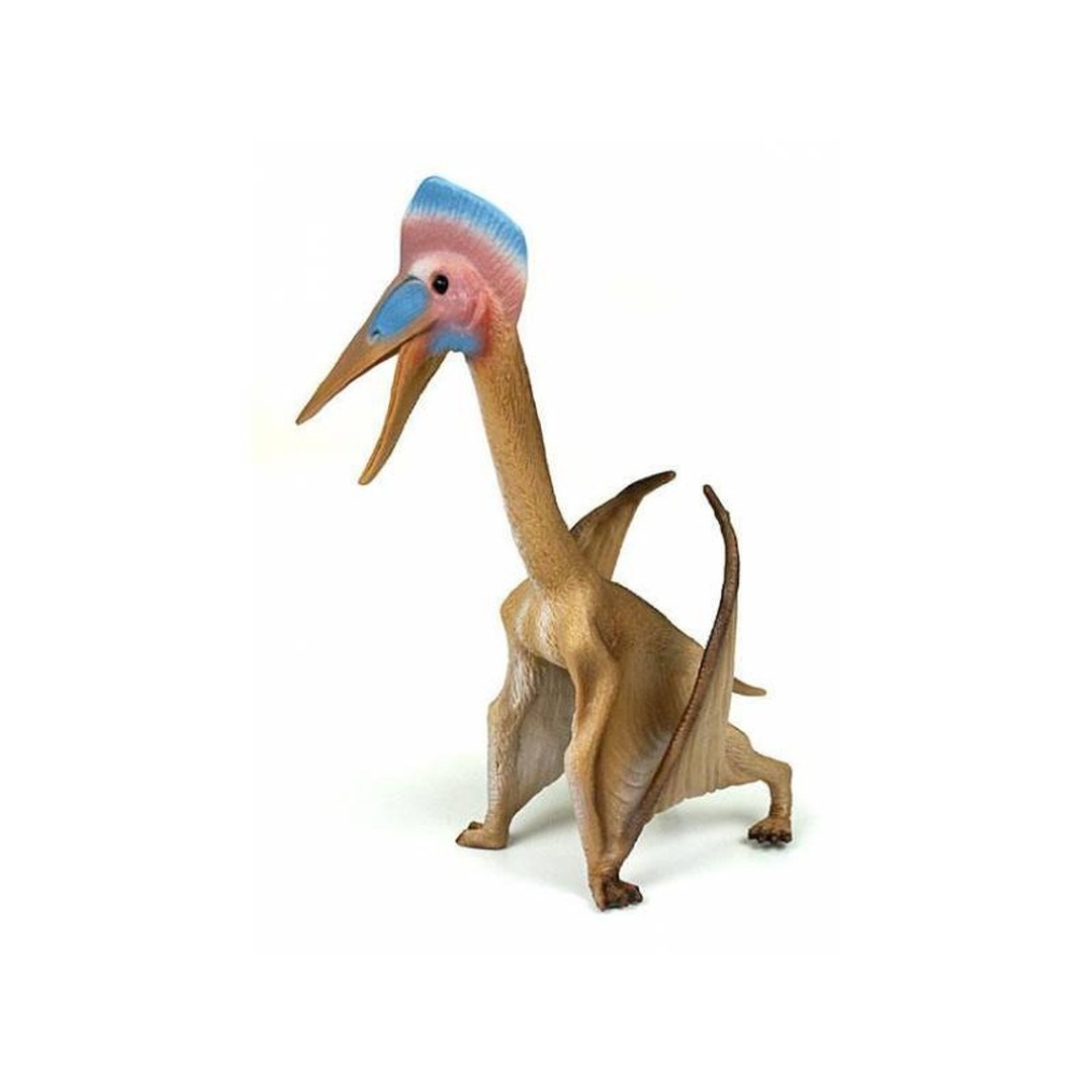 هاتزيغوبتركس - 88441