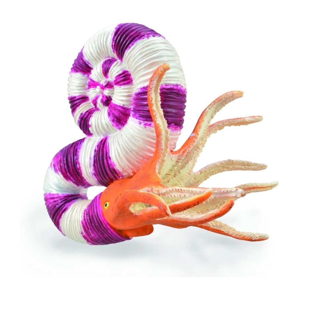 لعبة حبار برافيتوسيراس - 88927