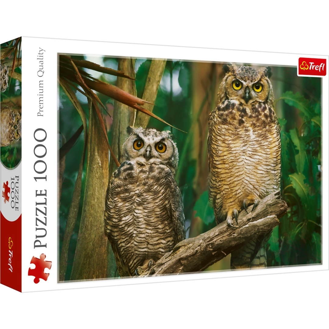 بازل البومات 1000 قطعة - 10603