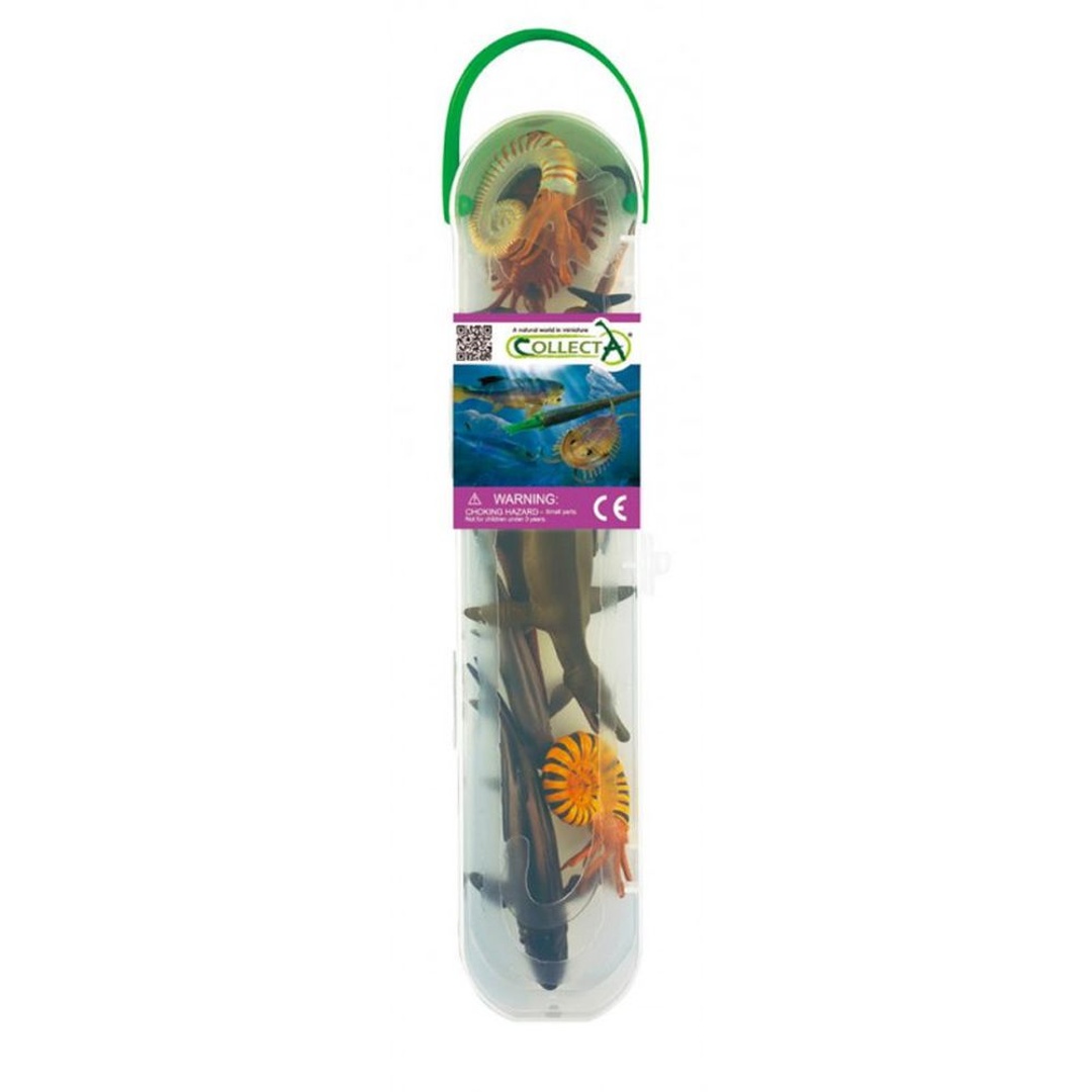 اسماك ما قبل التاريخ 12 قطعة - A1104