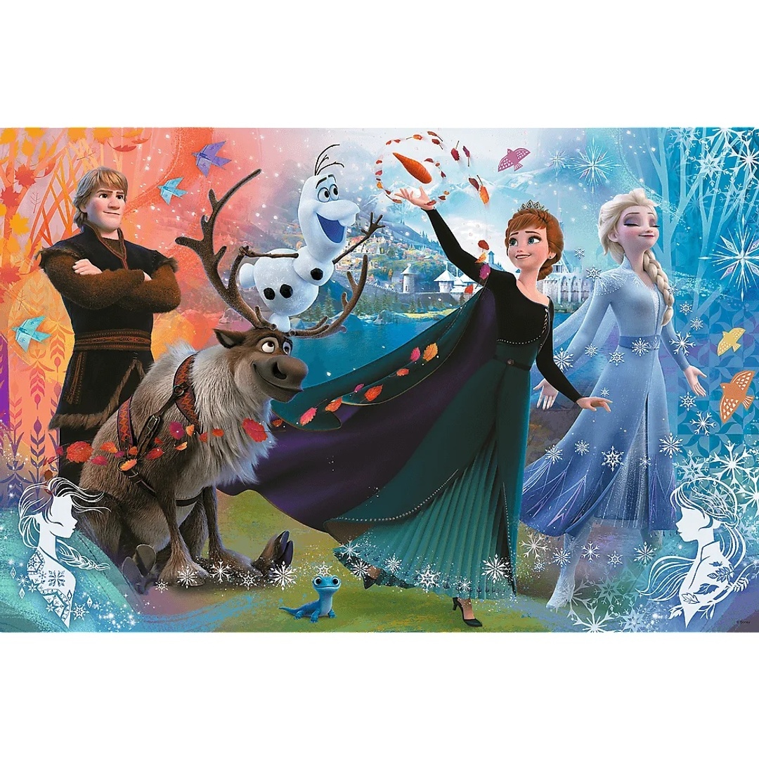 بازل اكتشف عالم فروزن - 160 قطعة - 50022