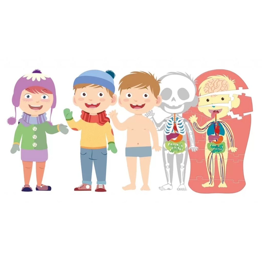 المتعلمين الصغار جسم الأنسان بالأنجليزية التعليمية - 75046