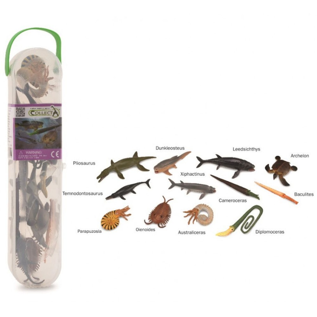 اسماك ما قبل التاريخ 12 قطعة - A1104