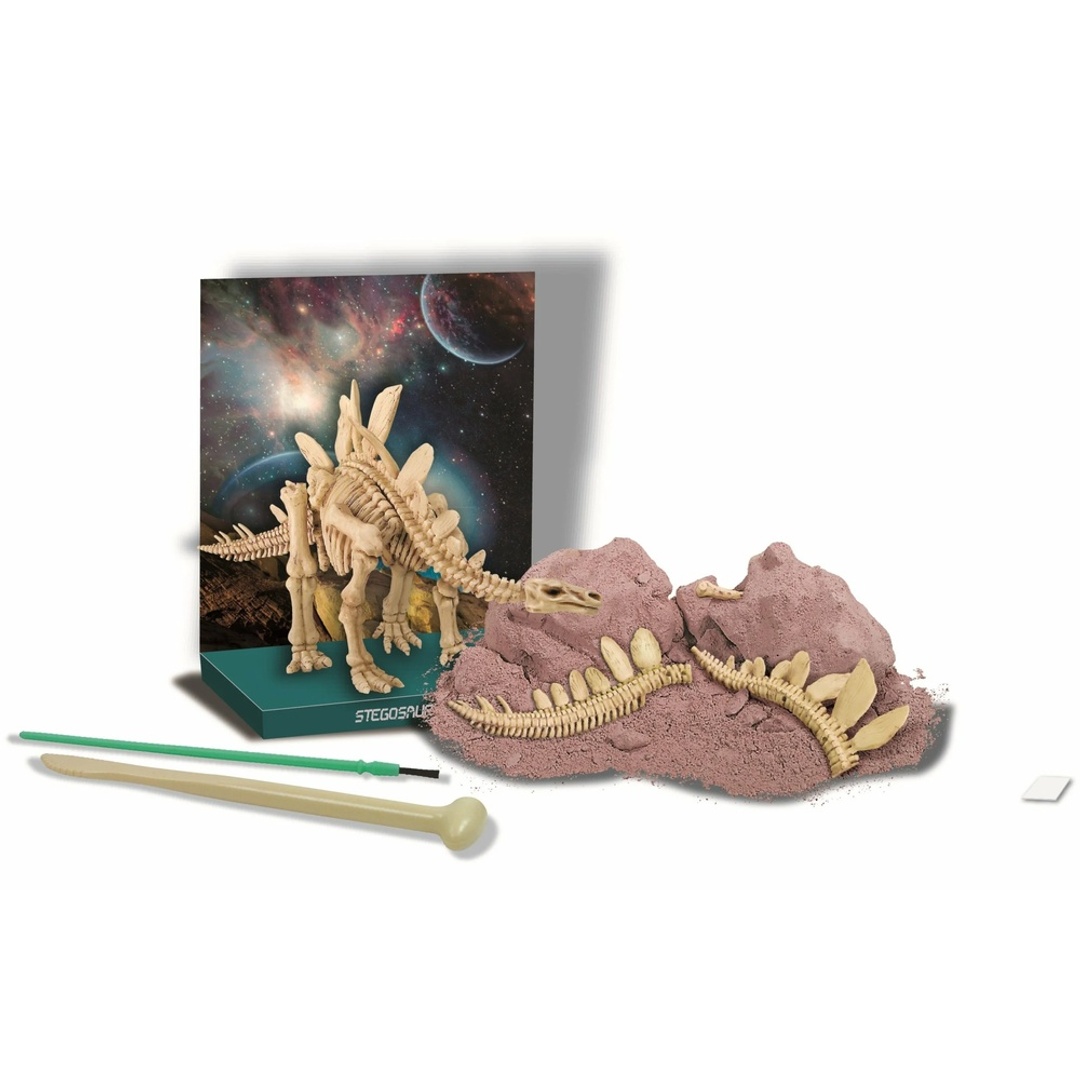 التنقيب عن الديناصور ستيجوصورس - 03229