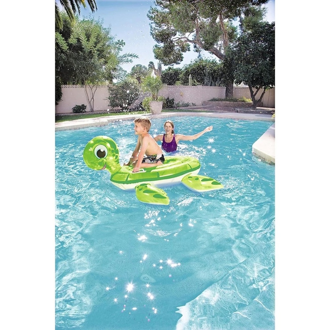 حيوان السباحة السلحفاة الخضراء - 41041