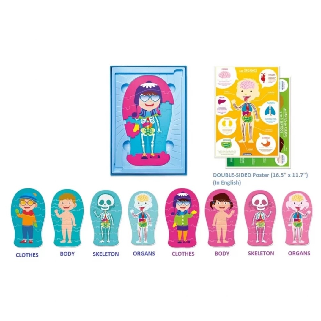 المتعلمين الصغار جسم الأنسان بالأنجليزية التعليمية - 75046