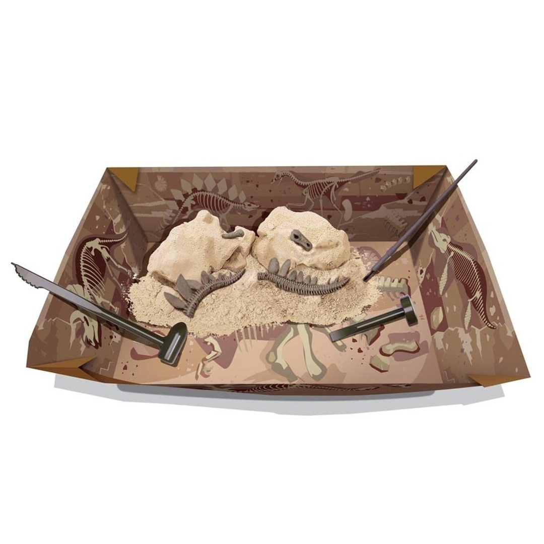 التنقيب عن الديناصور ستيجوصورس - 03229