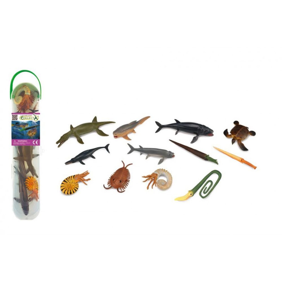 اسماك ما قبل التاريخ 12 قطعة - A1104