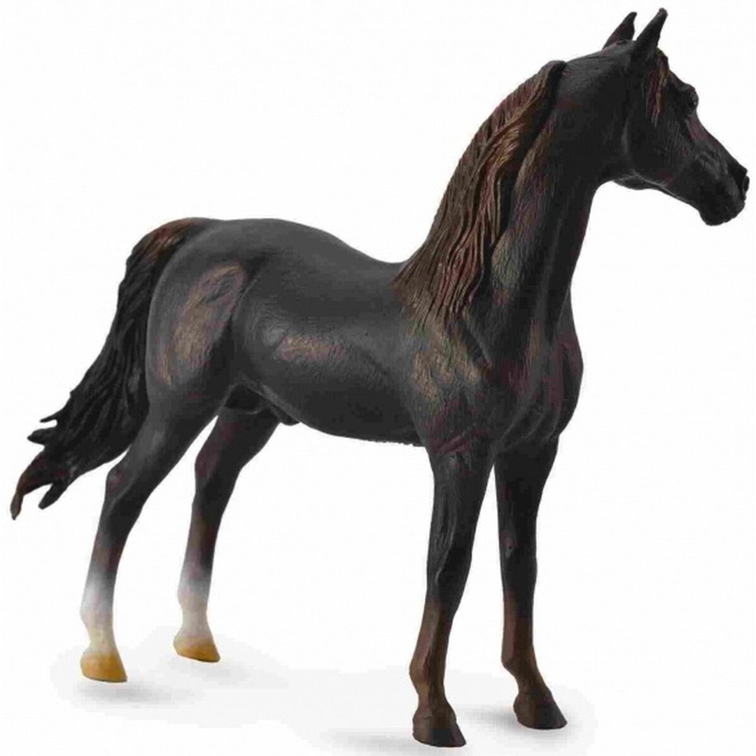 حصان مورجان ستاليون - 88647