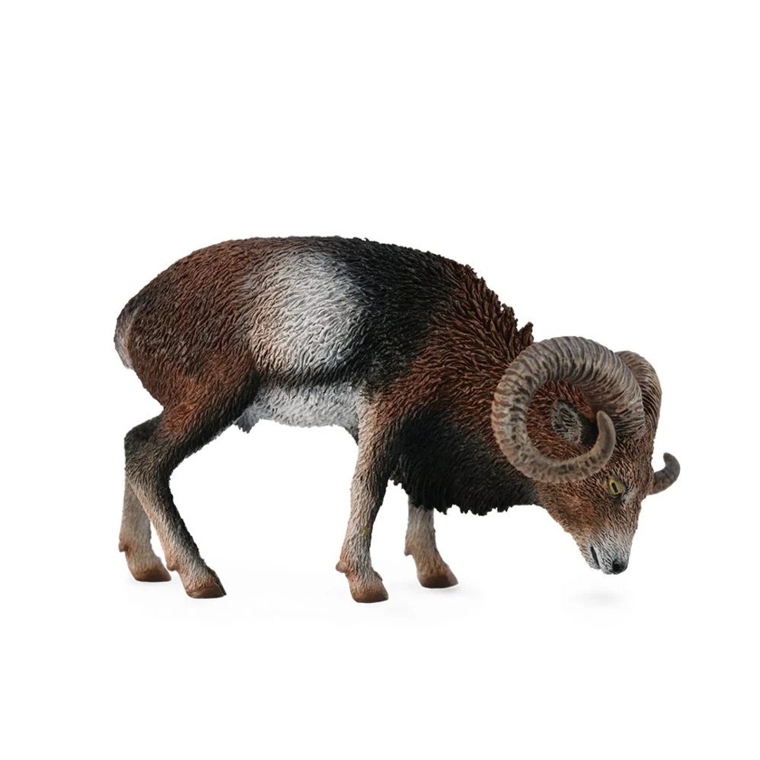 Collecta European Mouflon Sheep Figurine 88682