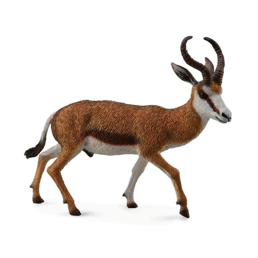 الظبي القوفز - 88684