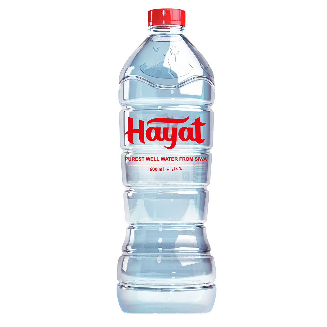 كرتونة مياة حياة - 600 ملل - 9 زجاجة