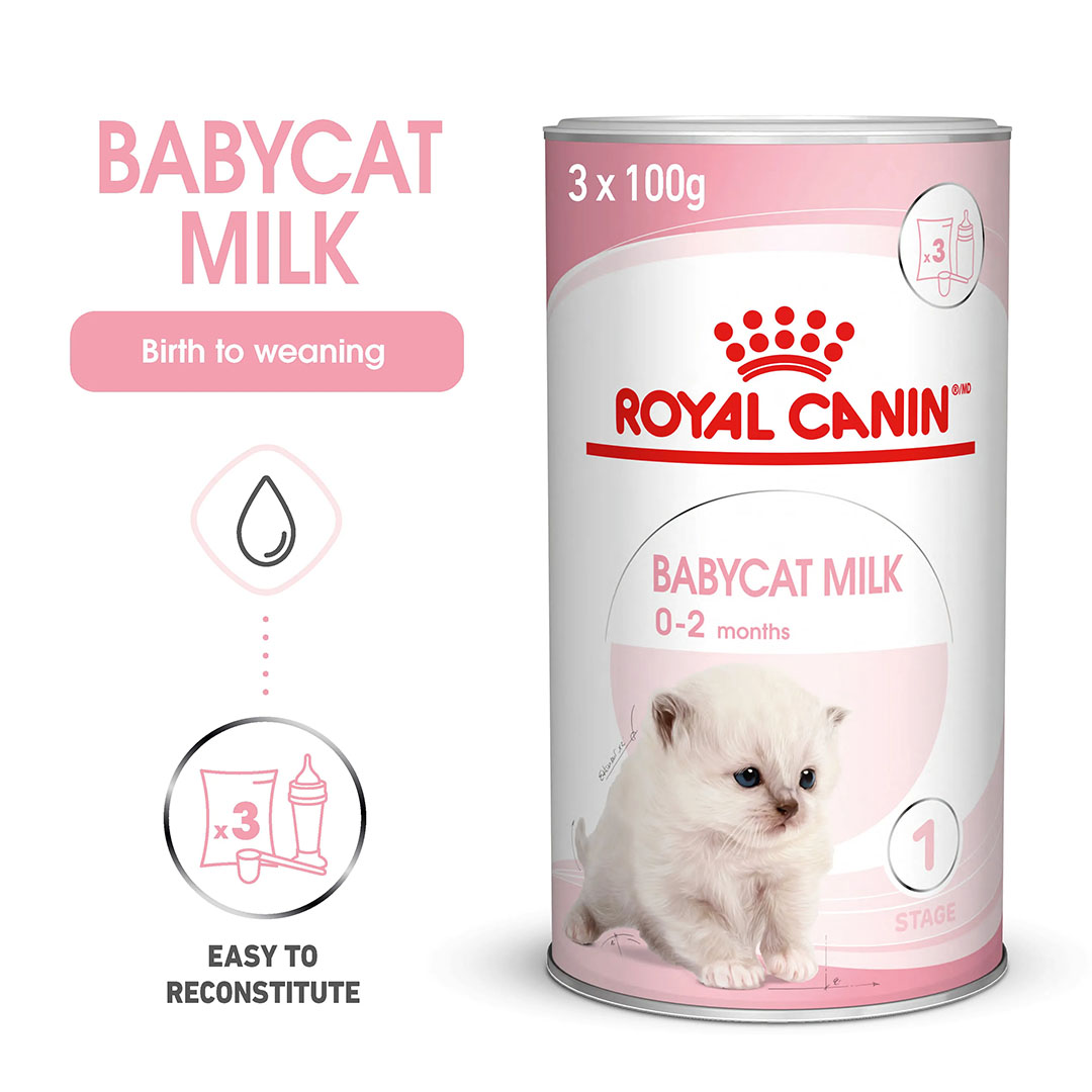 طعام رطب للقطط - وزن 0.3 كجم - FHNPRO BABY CAT MILK