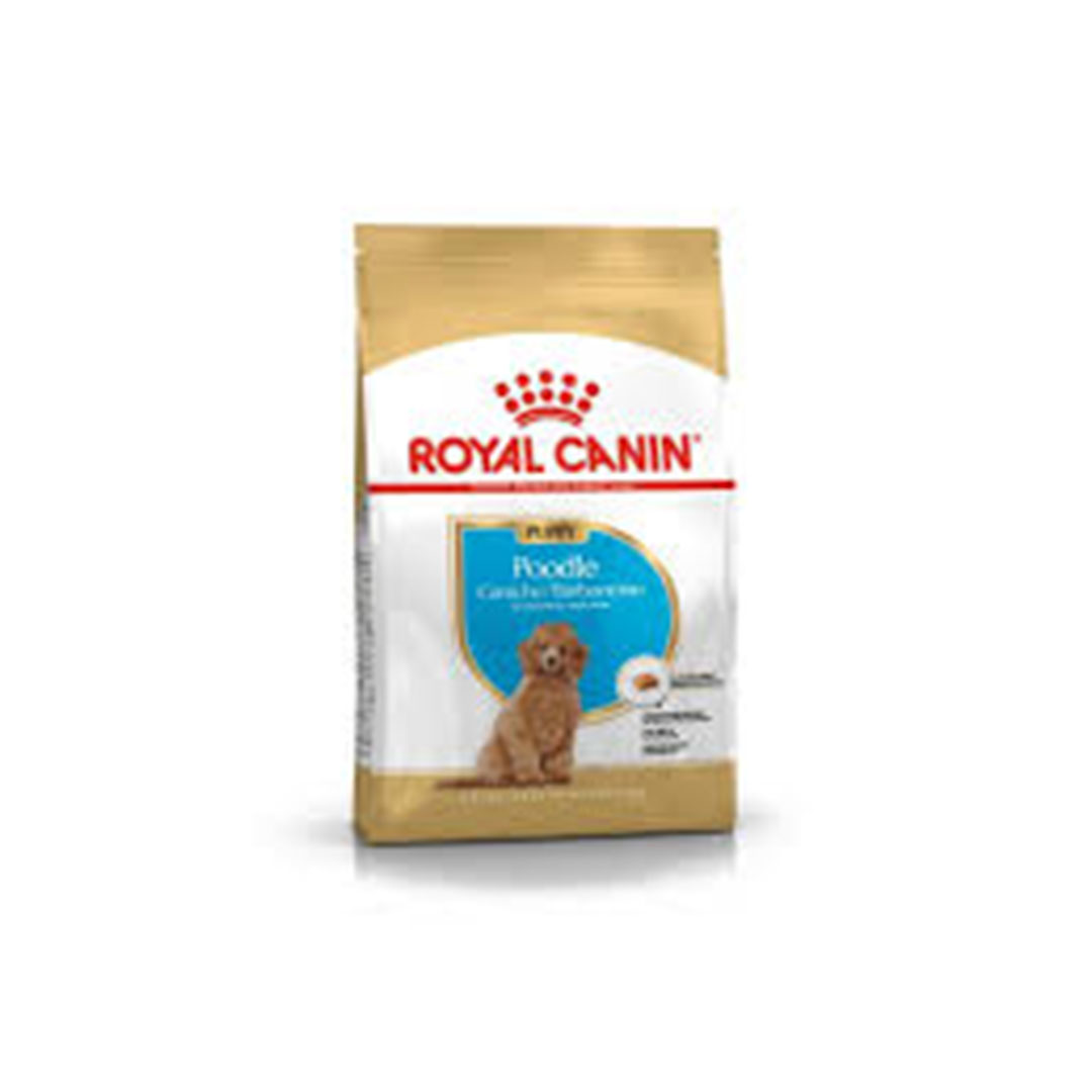 طعام جاف للكلاب - وزن 3 كجم - BHN للجراء من فصيلة البودل