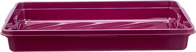 Bager حافظة كيك مستطيلة الشكل - نبيتي