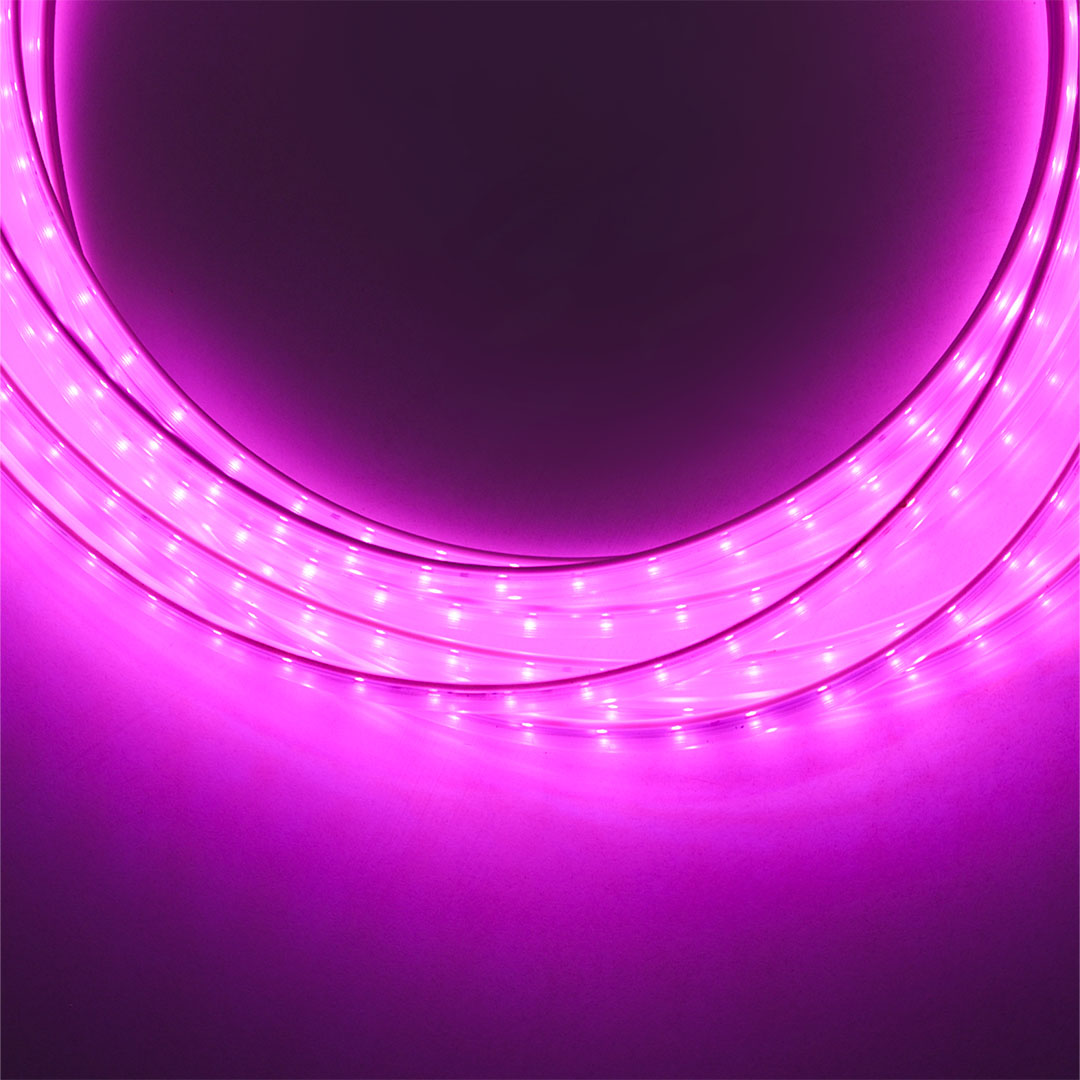 شريط ليد سنجل مودرن - موف - RL-LED-S-004