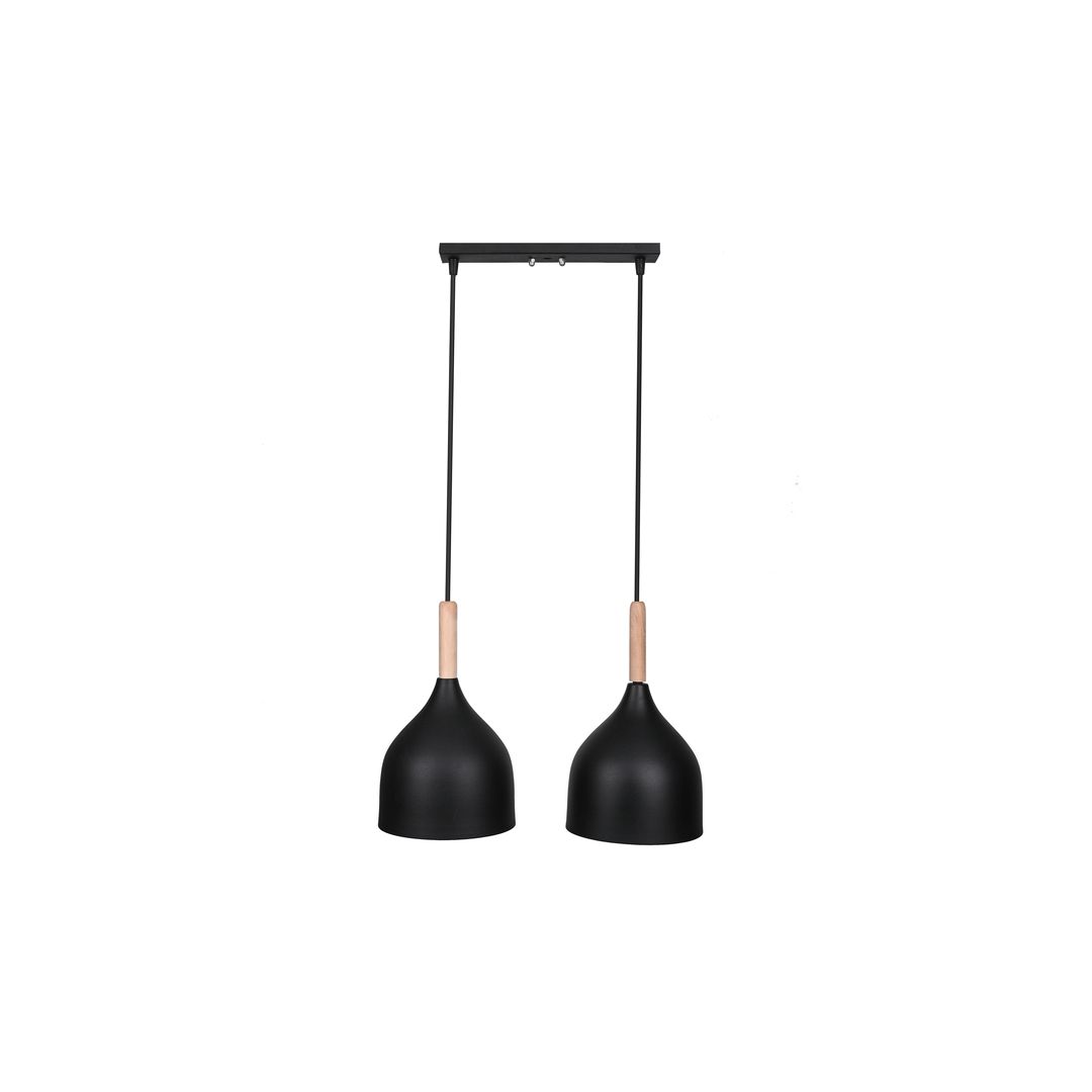 مصباح سقف ثنائي مودرن معدن - أسود - RL-NA-025