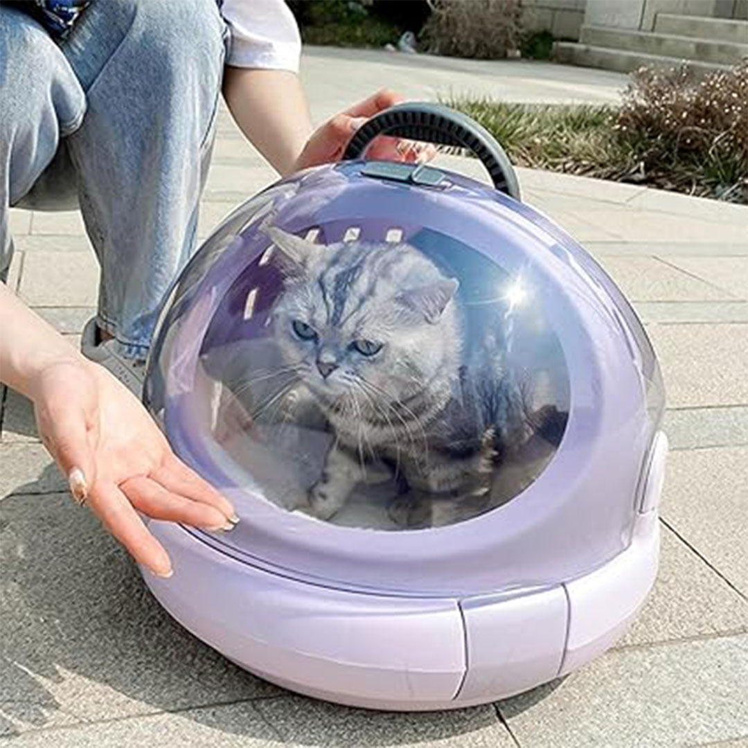 شنطة للكلاب والقطط الصغيرة للسفر - بنفسجي