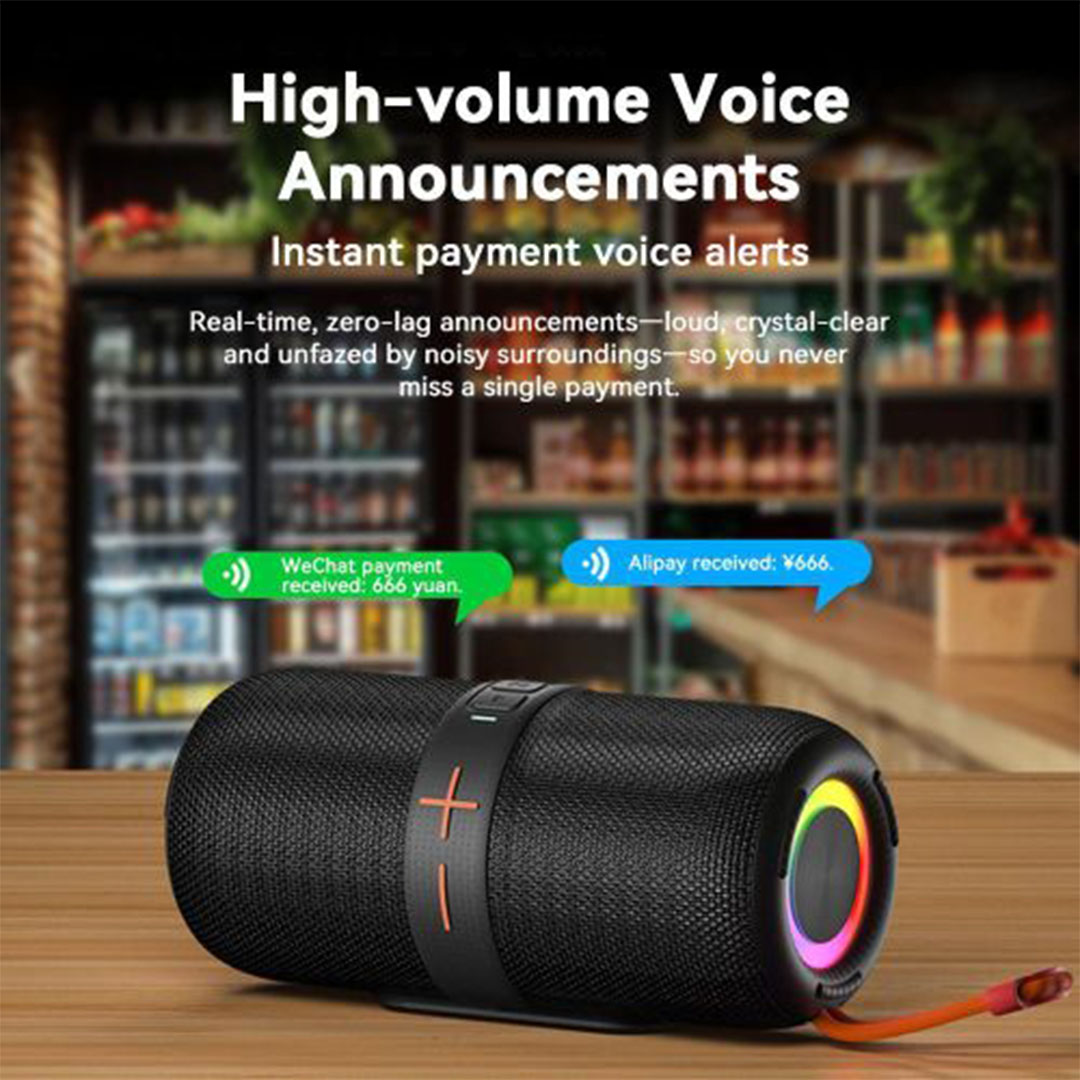 مكبر صوت خارجي لاسلكي بإضاءة - LS-X1