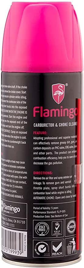 CHE676 منظف كربراتير السيارة - 450 مل